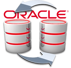 Oracle database server